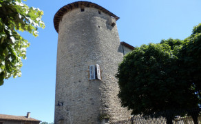 Visite guidée : le château des Tours