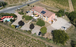 Hôtel des Vignes
