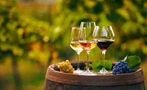 Rencontre vigneronne avec 5 siècles de tradition