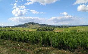 Domaine Chavrier