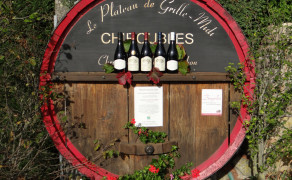 Rencontre vigneronne sur le Plateau de Grille Midi
