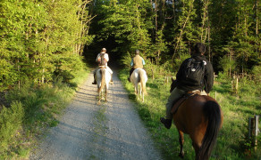 Horse-riding trail