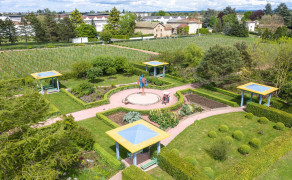 The Beaujolais garden