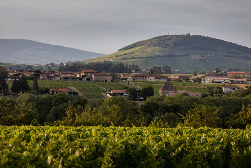 Mont Brouilly