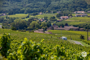 Route des vins - Destination Beaujolais